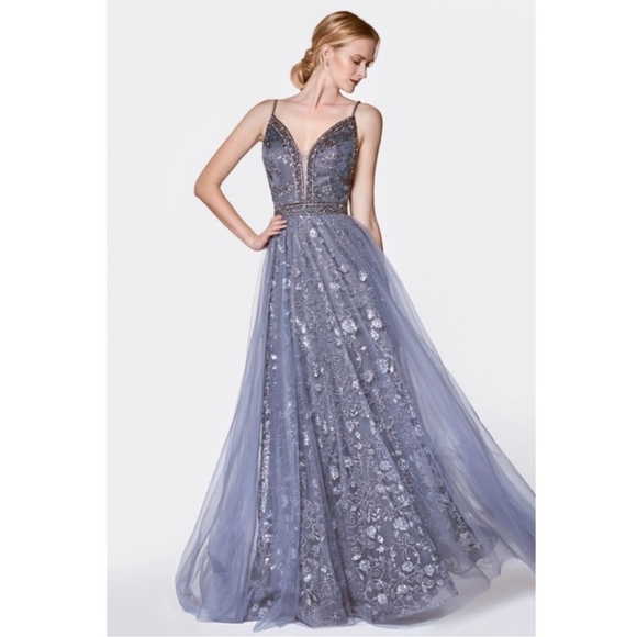 Cinderella Divine Evening Gown - Size 4 - Picture 1 of 7